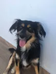 Simba