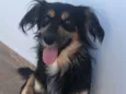 Simba