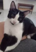 Madalena