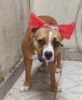Quinha
