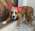 Quinha