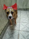 Quinha