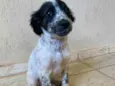 nao tem nome