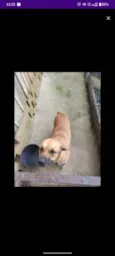Zoe