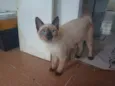 Eleonor