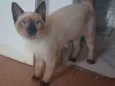 Eleonor
