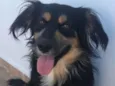 Simba