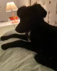 Lili