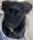 Lili