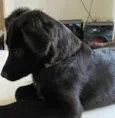 Lili
