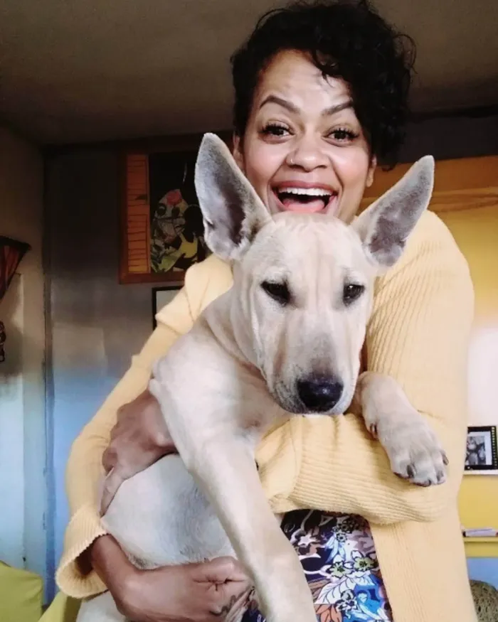 Cachorro raça Mix Bull terrier/pitbull  idade 2 a 6 meses nome Benedita 