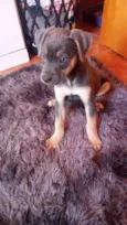Zoe