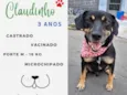 Claudinho