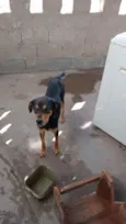Billy