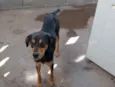 Billy