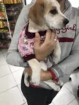 Kiara