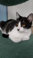 Maggie