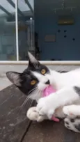 Maggie