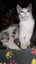 Penelope
