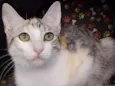 Penelope