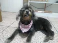 Lulu