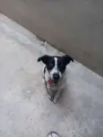 Mel
