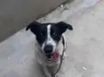 Mel