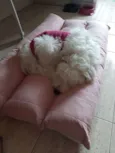 Nalla