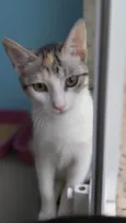 Penelope