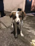 Não informado