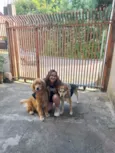 Fred e Chico