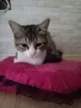 nina