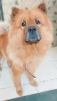 Kiara