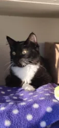 Kiara 