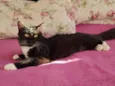 Kiara 