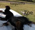 Neguinha e Zoe