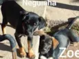 Neguinha e Zoe