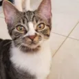 Fiona