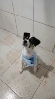 Laila