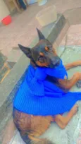 Scooby