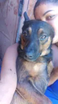 Scooby