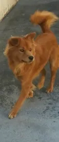 Bella