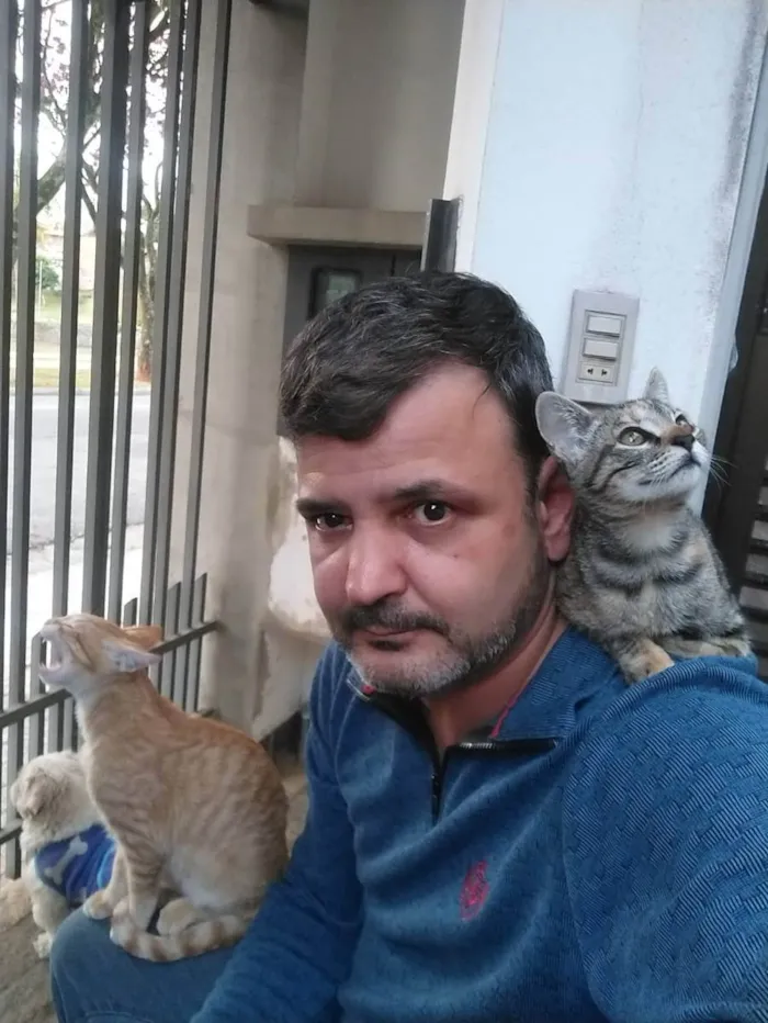 Gato ra a mista idade 2 a 6 meses nome Tuca ou Tuquinha