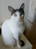 JOHN