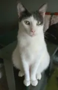 JOHN