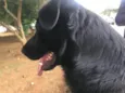 Billy