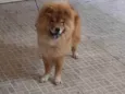 Seiya