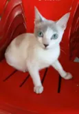 LUZ
