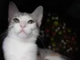 PENÉLOPE