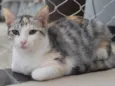 PENÉLOPE